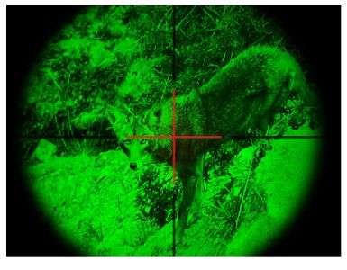 New ATN Night Arrow 6 2 Night Vision Weapon Sight  